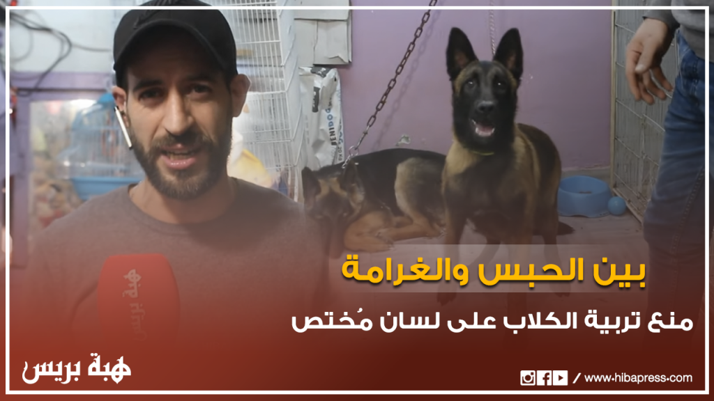قضية منع تربية الكلاب على لسان مُربي حيوانات أليفة بطنجة
