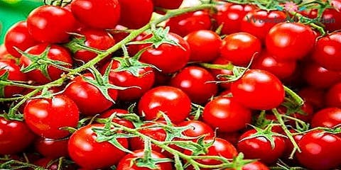 .لجنة حكومية تؤكد ارتفاع أسعار الطماطم واللحوم