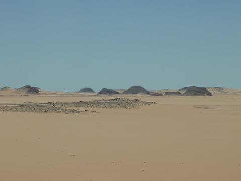 فضيحة: وكالة الأنباء الجزائرية تستنكر استثمار شركات مصرية بصحرائها ظنا أنها “صحراء مغربية”