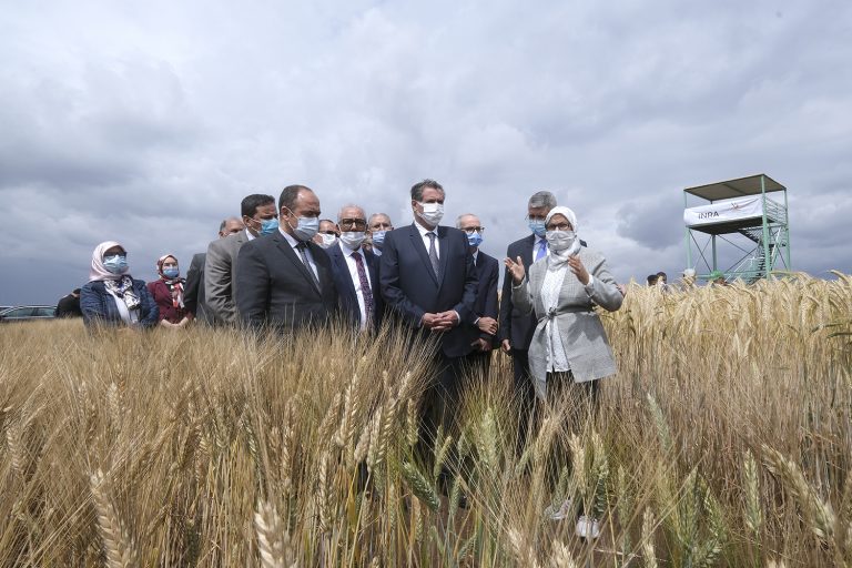 أخنوش يزور الضيعة التجريبية الزراعية مرشوش بإقليم الخميسات