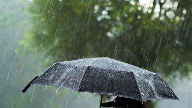 Photo of زاكورة والراشيدية تسجلان أعلى مقاييس الأمطار خلال 24 ساعة