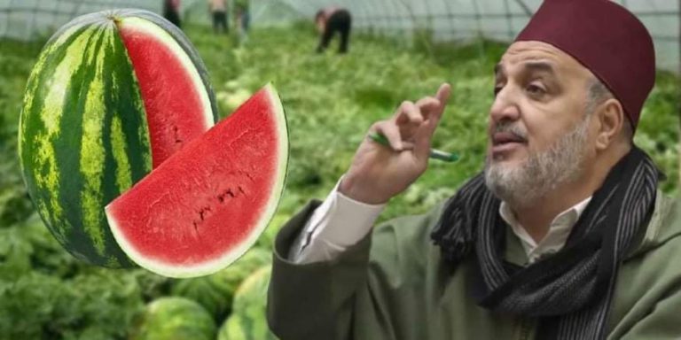 منتجو ومصدرو الخضر والبذور يستهجنون تصريحات أبو زيد حول "الدلاح"