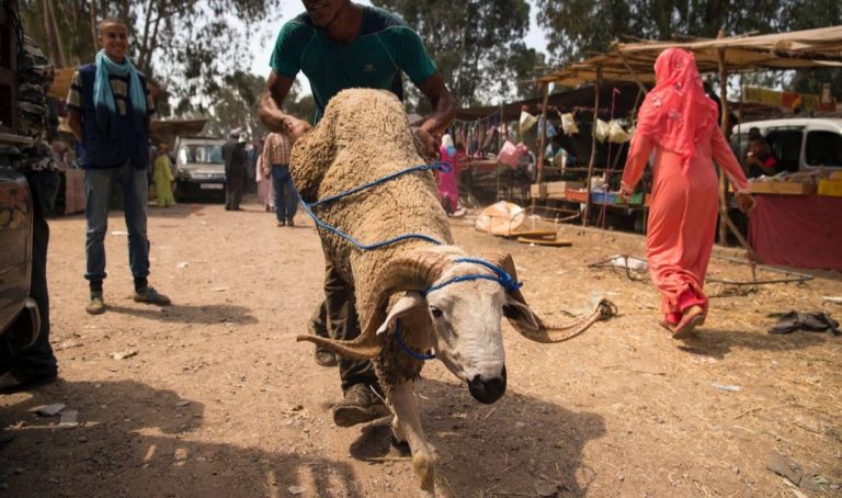 فلكيون يكشفون أول أيام عيد الأضحى بالمغرب