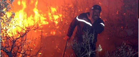 الجزائر: إخماد 43 حريقاً في 20 ولاية خلال 24 ساعة