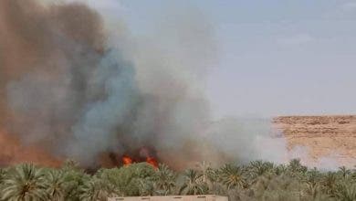 Photo of حريق يأتي على واحة باشتوكه ايت باها.. والنيابة العامة تدخل على الخط