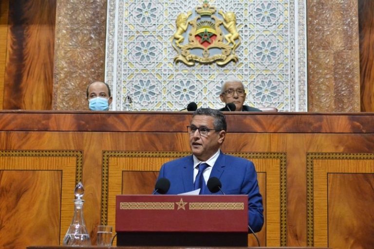 أخنوش: وضعنا إجراءات دقيقة لإنقاذ المقاولات من تداعيات الجائحة