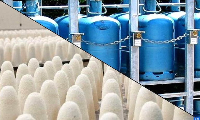 فتاح العلوي: أسعار المواد المدعمة لم تتغير.. وهذه تدابير الحكومة لمواجهة التقلبات