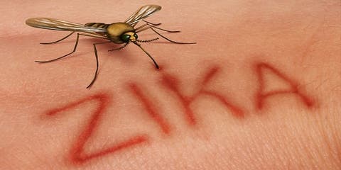 ظهور فيروس “زيكا” في الهند.. وتخوف من انتشاره