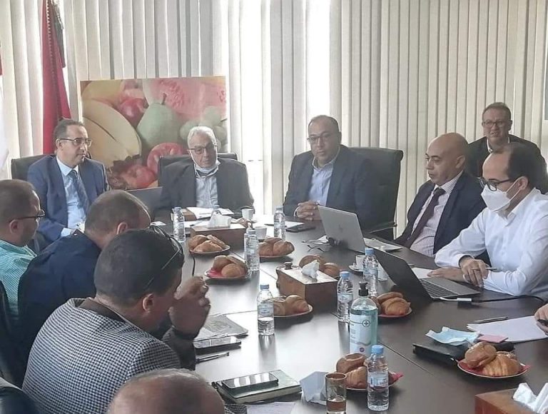 أكادير : لقاء بين مصدري الخضر والفواكه ومسؤولي ميناء طنجة لتجاوز معيقات موسم التصدير