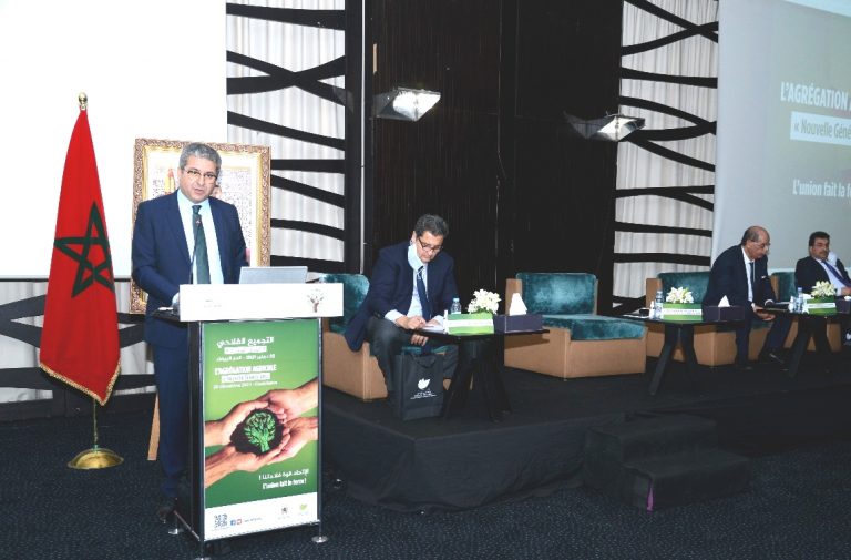 وكالة التنمية الفلاحية تقود مخطط عصرنة القطاع عبر ورش التجميع