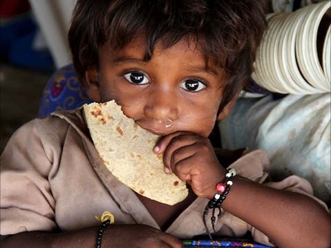 منظمة “الفاو”: أزيد من 91% يعانون من الجوع في المنطقة العربية