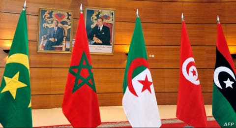 محلل سياسي : مبادرة الرئيس الموريتاني للوساطة  بين المغرب والجزائى ستفشل