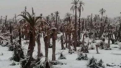 Photo of في ظاهرة مناخية نادرة: الثلوج بواحات الجنوب الشرقي المغربي (صور)