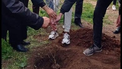 Photo of سطات.. وفاة تلميذ داخل فصله الدراسي وثانويته تغرس شجرة باسمه