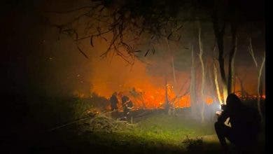 Photo of طنجة..السيطرة على حريق مهول اندلع بغابة مديونة