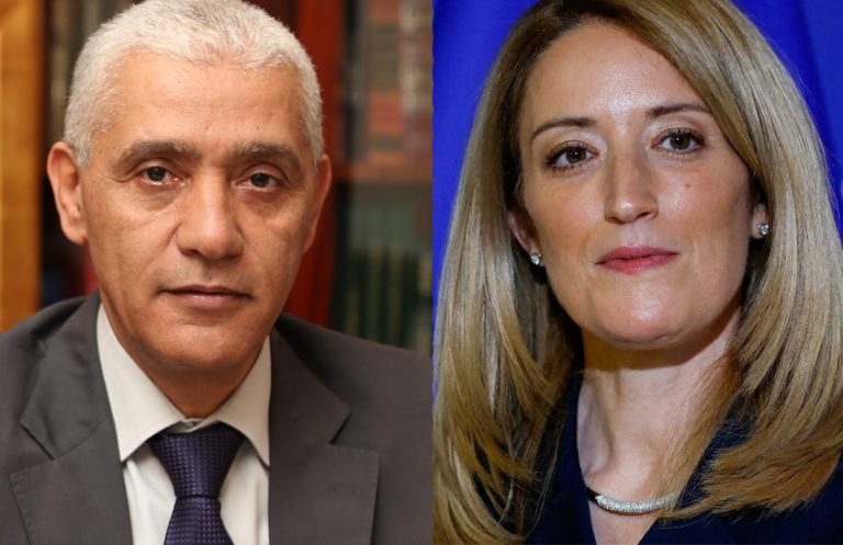 تكثيف سبل التنسيق البرلماني.. محور مباحثات بين العلمي ورئيسة البرلمان الأوروبي