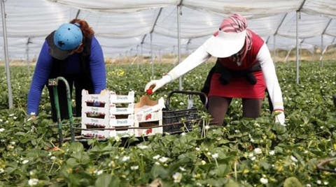 اسبانيا.. المغاربة يتصدرون قائمة العمال الأجانب المسجلين في الضمان الاجتماعي