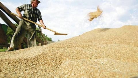 الأزمة الأوكرانية والعقوبات الغربية يرفعان سعر القمح لأعلى مستوى منذ 2008