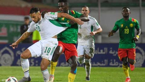 رسميا.. الجزائر تطالب بإعادة مباراتها ضد الكاميرون