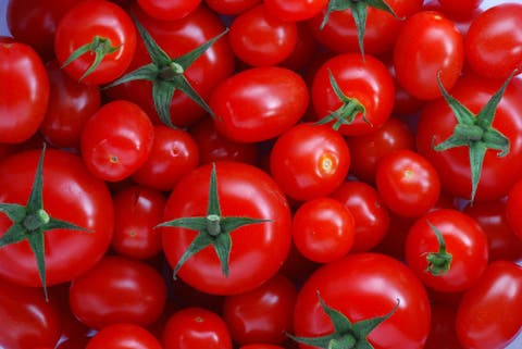 الحكومة: “سعر الطماطم بلغ 1.50 أورو في السوق الدولية”