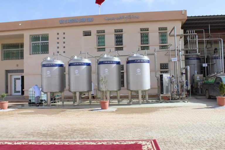 نقص الحليب .. الحكومة تؤكد : ندرس إمكانية التدخل