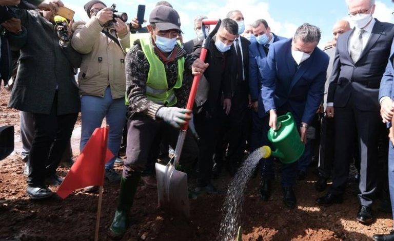 قلعة السراغنة.. الصديقي يطلق مشروع غرس صبار مقاوم للحشرة القرمزية