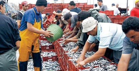 الصيد البحري.. ارتفاع قيمة المنتجات المسوقة خلال فبراير