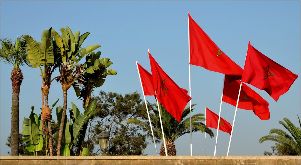 منظمة التعاون الإسلامي..المغرب ملتزم بتنمية إفريقيا
