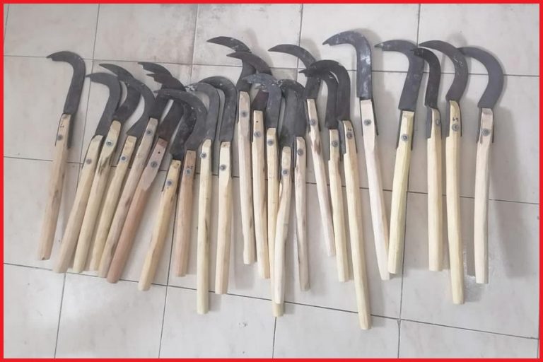 أكادير: حجز 23 ساطور موجه للحرم الجامعي واعتقال طالبين