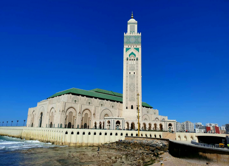 لمكافحة تكاثر الحمام بمحيط مسجد الحسن الثاني.. الاستعانة بصقور الشاهين