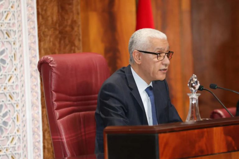 رسميا.. مجلس النواب يعتمد الترجمة الفورية للأمازيغية والعربية