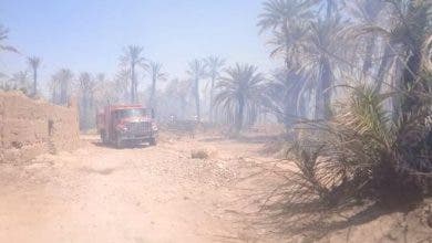 Photo of حريق آخر يأتي على 500 نخلة بواحة ترناتة بزاكورة