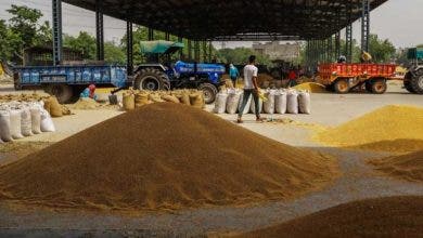 Photo of بعد قرار الحظر.. الهند تقرر تصدير القمح المتعاقد عليه فقط
