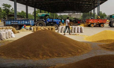 بعد قرار الحظر.. الهند تقرر تصدير القمح المتعاقد عليه فقط