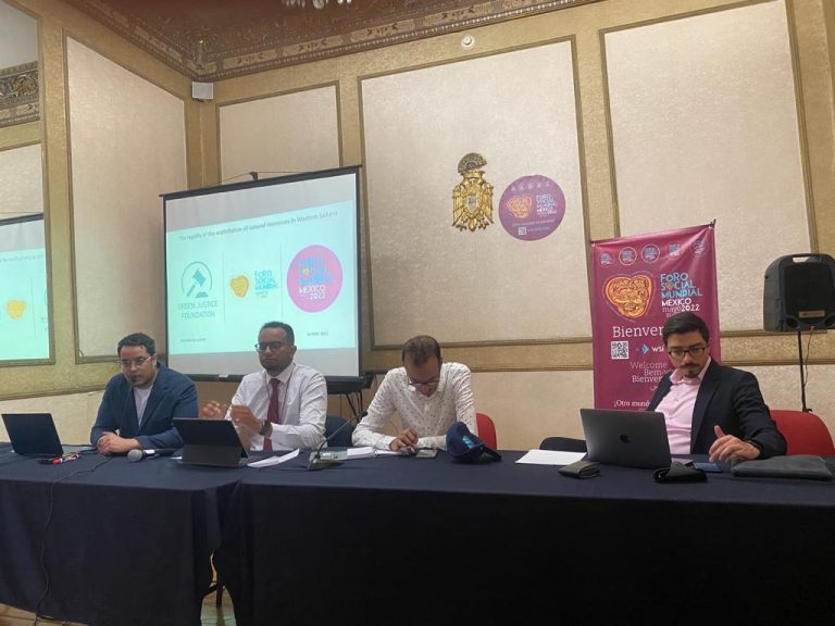 خبراء دوليون يفندون أطروحات ”البوليزاريو“ حول استغلال المغرب للثروات الطبيعية