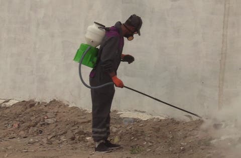 “سراق الزيت” و الذباب يغزوان أحياء البيضاء و السلطات تتحرك لرش المبيدات