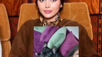 Photo of “ساعدوني في العثور على ابنتي”.. برلمانية تبحث عن كلبتها الضائعة بالرباط