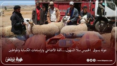 Photo of جولة بسوق الخميس سلا السهول…أثمنة الأضاحي وارتسامات الكسابة والمواطنين