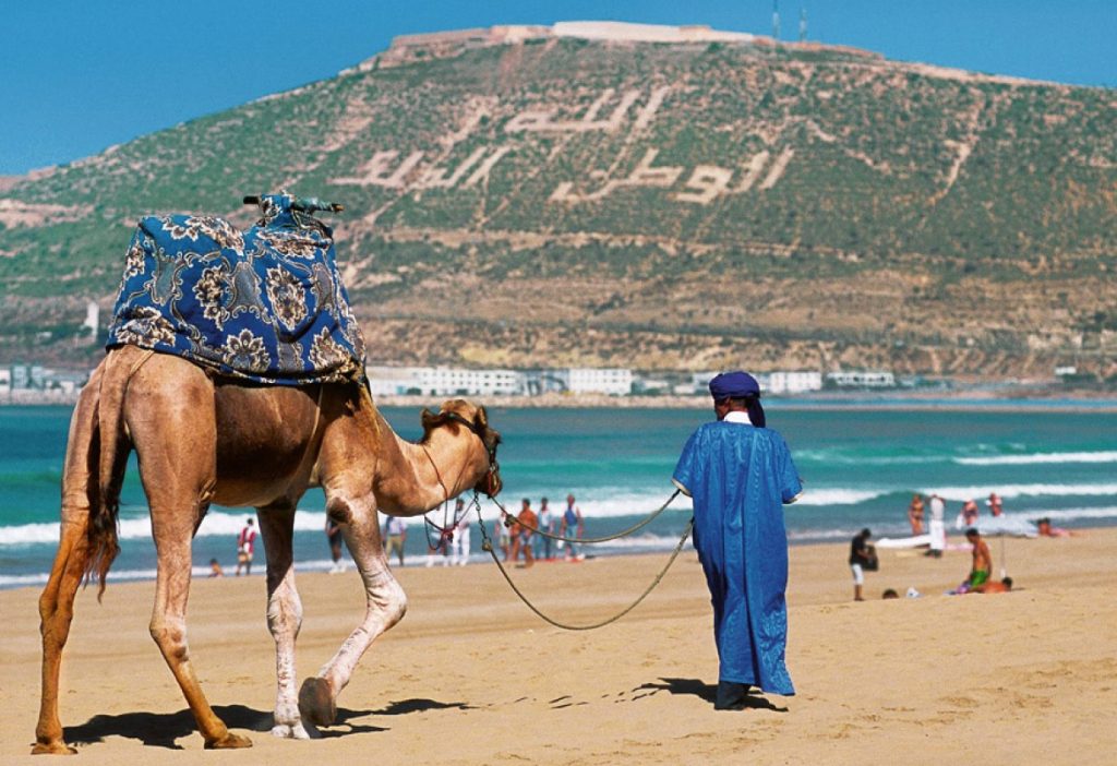 لتشجيع السياحة الوطنية.. "البام" يطالب بتخفيض أسعار التنقل الجوي الداخلي