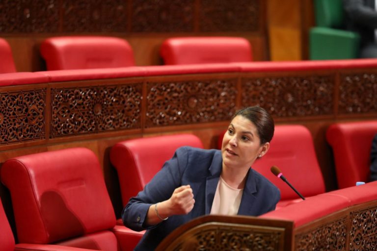 المنصوري تقدم عرضا لمضامين الحوار الوطني حول التعمير والإسكان