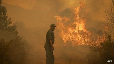 Photo of ملاحقة شخص بعد الحرائق الضخمة التي أتت على “غابات الشمال “
