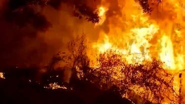 إسبانيا: حرائق الغابات قد تكون متعمدة والتحقيق متواصل