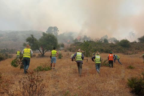 سلطات وزان: تحويط حريق غابة “جبل أمزيز” والحد من انتشاره