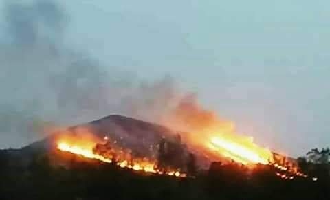 تارودانت :  اندلاع حريق مهول بغابة بجبال اكني بجماعة تيزي نتاست