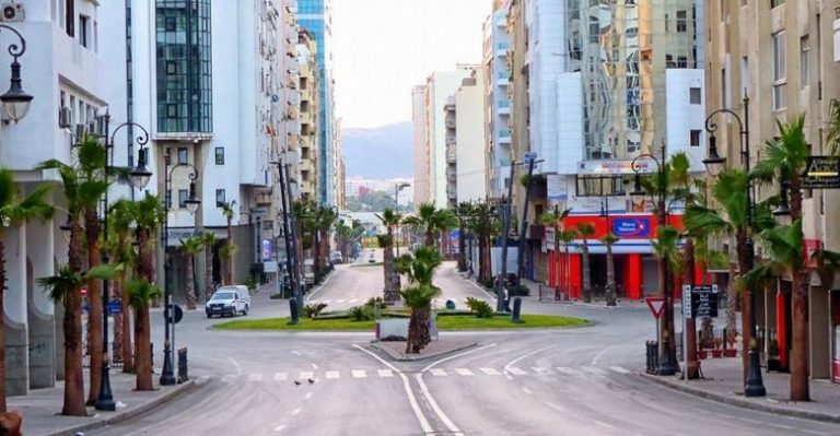 "بعد تحويلها لمدينة نخيل" .."حركة الشباب الاخضر" تدعو للحفاظ على الهوية المنظرية لطنجة