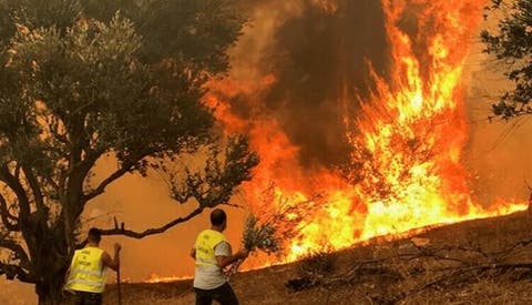 إسبانيا.. تواصل اشتعال حريق غابات ضخم في منطقة فالنسيا