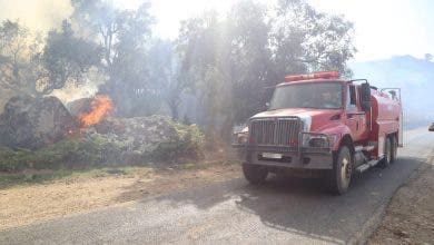 Photo of شفشاون..نشوب حريق هائل بغابة “تنغاية” يستنفر فرق الاطفاء