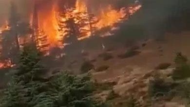 Photo of عاجل.. اندلاع حريق هائل بغابة “اغندور” ضواحي الحسيمة