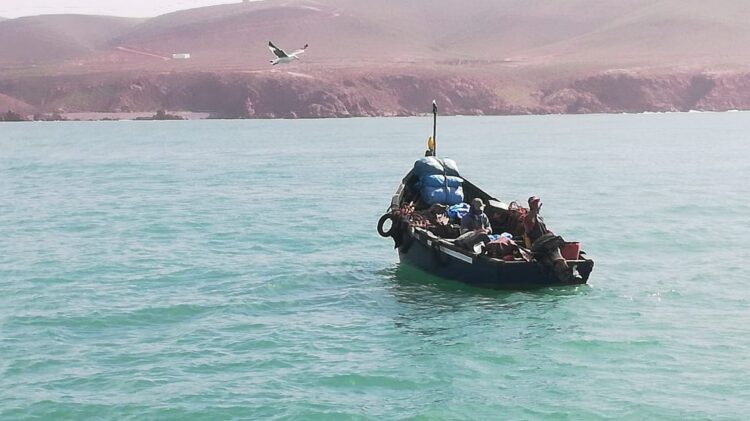 بسبب سوء الأحوال الجوية.. مندوبية الصيد ببوجدور تمنع رحلات الصيد