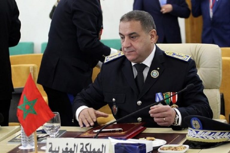 الدخيسي: "المغرب يولي اهتماما خاصا لمحاربة الجريمة المنظمة والعابرة للحدود"